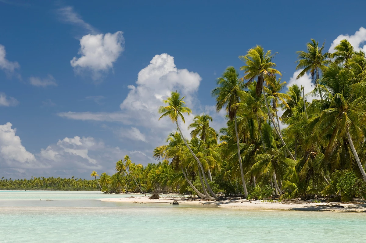 Plage et lagon, Rangiroa, archipel des Tuamotu