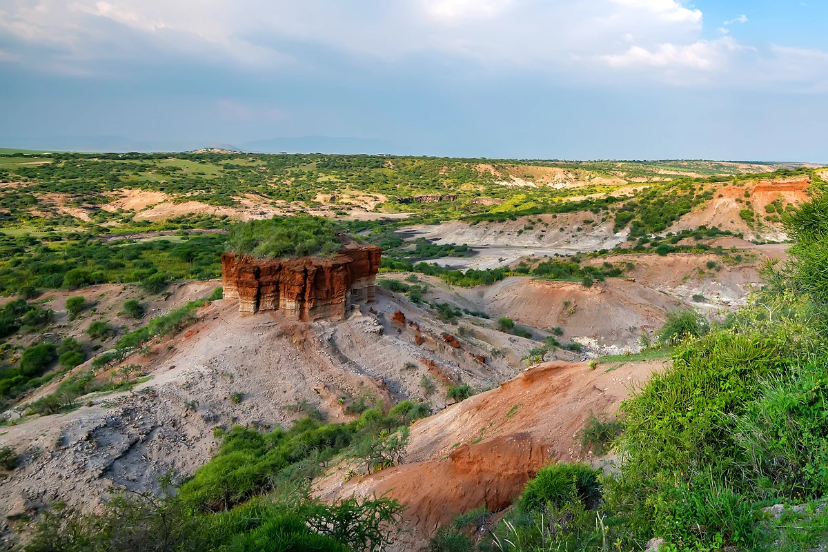 Gorges d'Olduvai, Réserve de Serengeti, Tanzanie