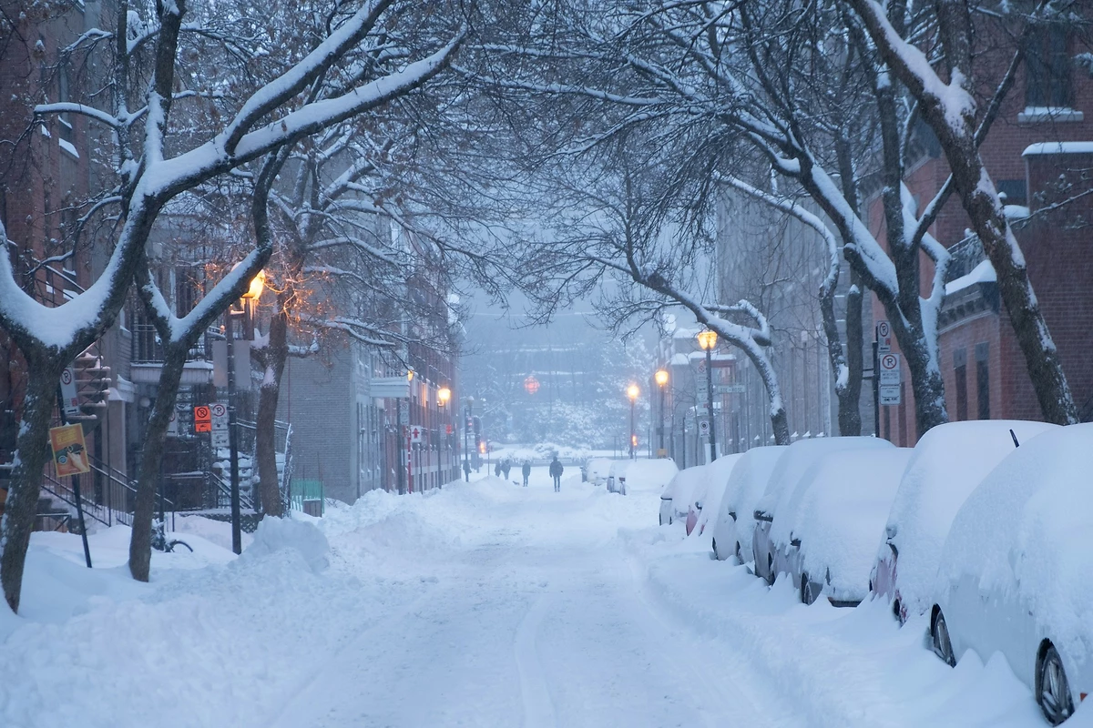 Neige recouvrant les voitures, Montréal, Québec