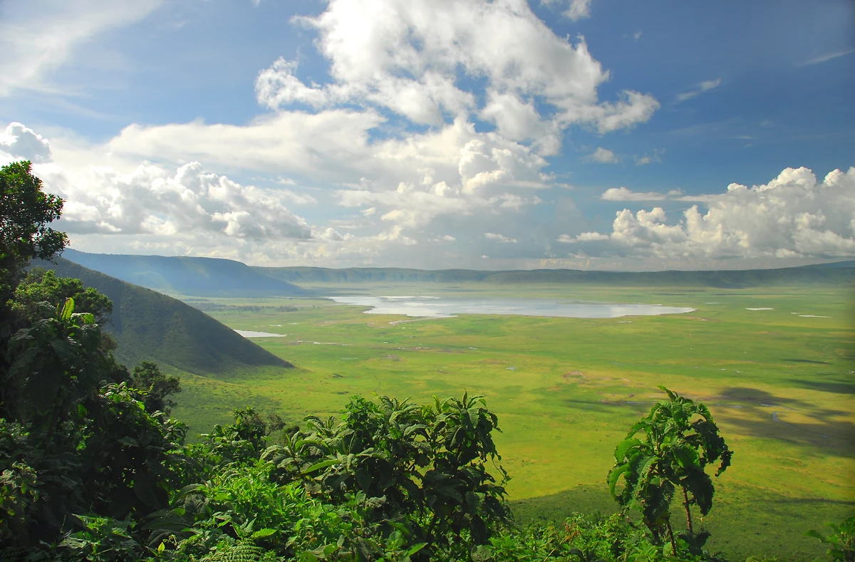 Terre Safaris en privé 3*