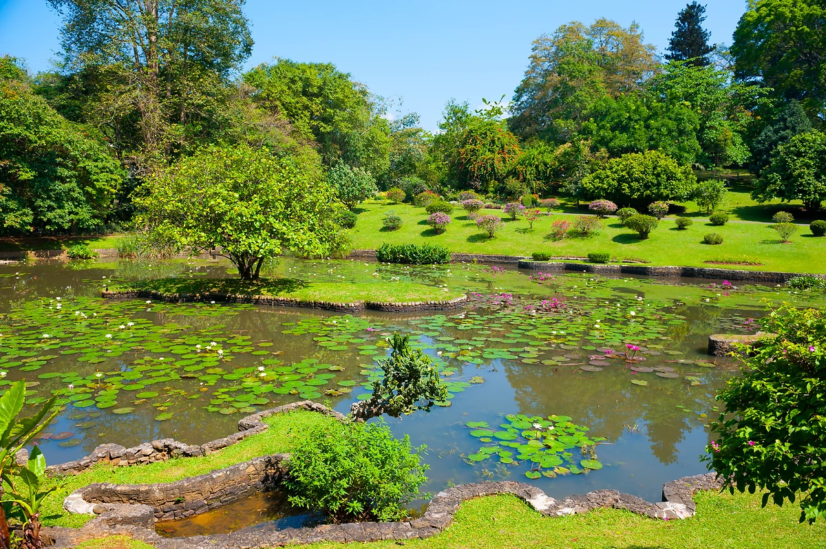 Jardin botanique de Peradeniya, Kandy, Sri Lanka