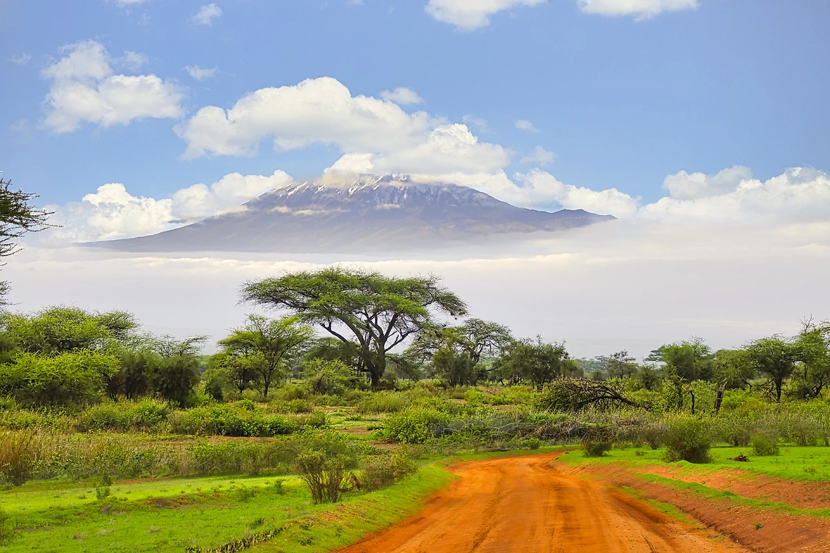 Tanzanie grandeur nature en privé - 4