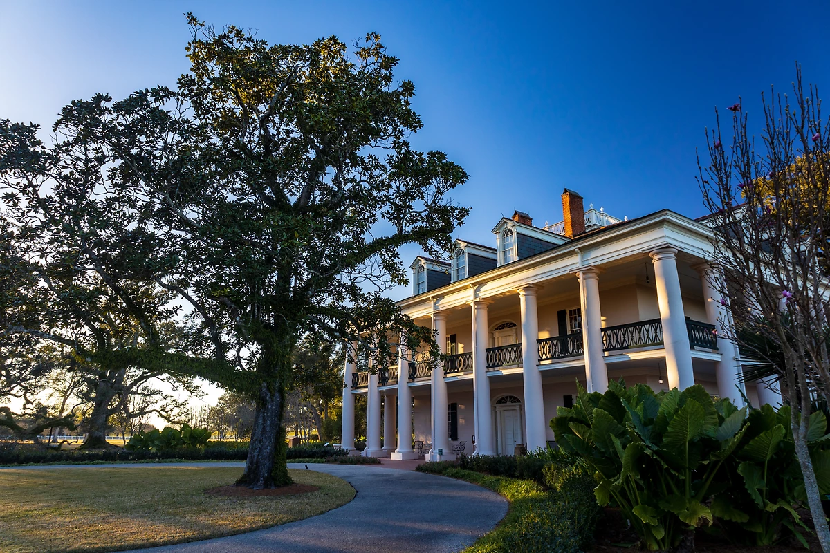 Plantation Oak Alley, La Nouvelle-Orléans, Louisiane, Etats-Unis