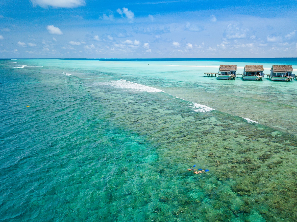 Niva Kuramathi Maldives - 4* - 50