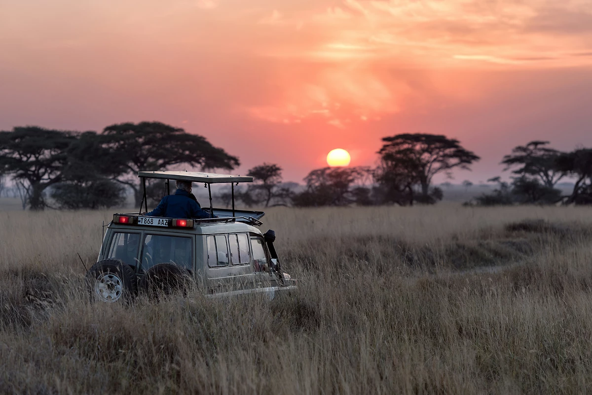 Safari au coucher du soleil, Serengeti, Tanzanie