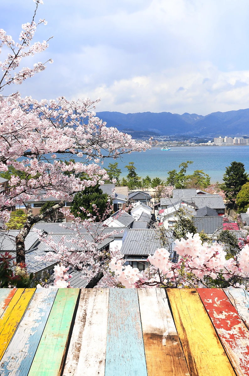 Les maisons et les cerisiers en fleurs, île de Miyajima, Japon