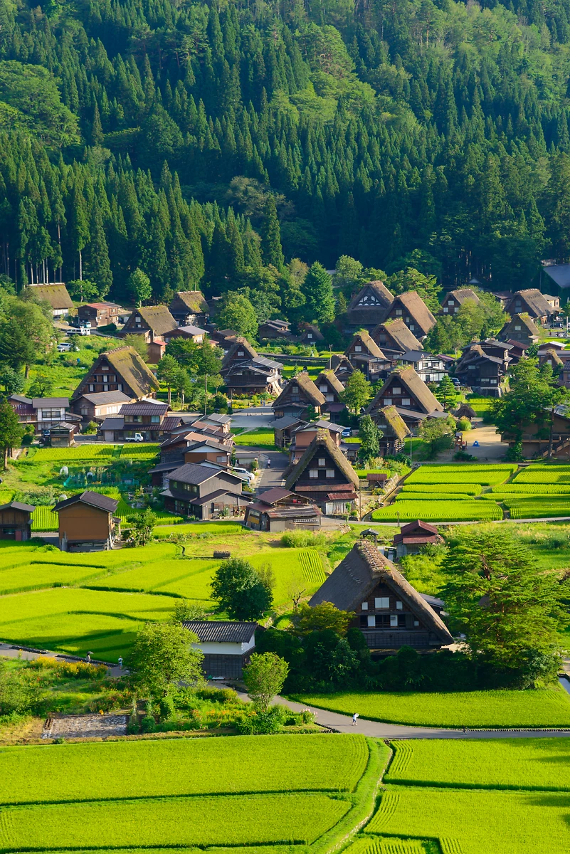 Village historique de Shirakawa-go, Japon