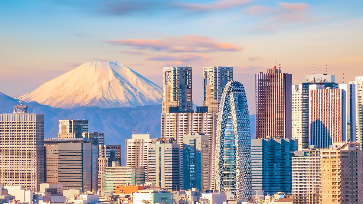 Vue panoramique sur les toits de Tokyo et le mont Fuji