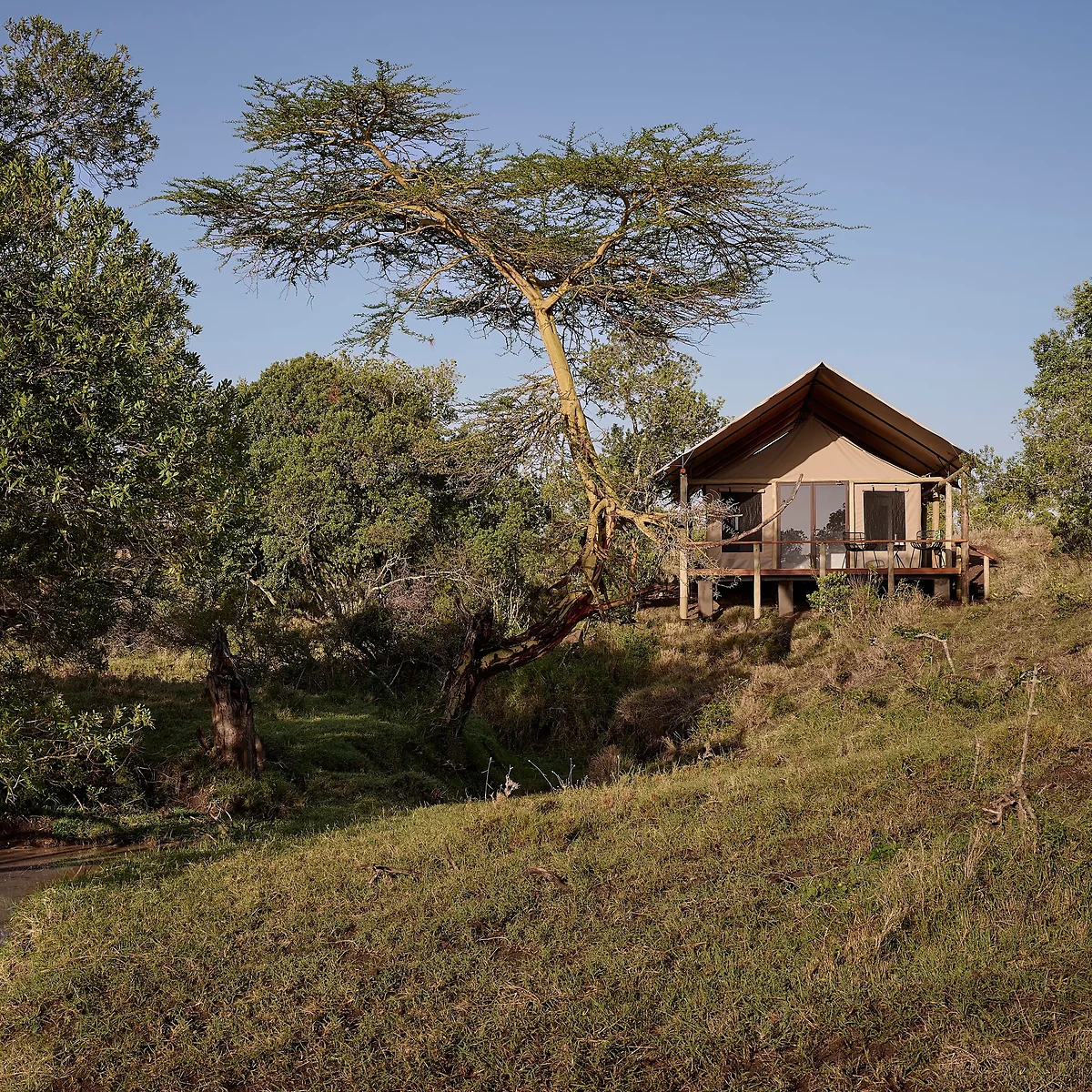 Visuel Hotel - Ol Pejeta, Tambarare Camp, an A&K Sanctuary