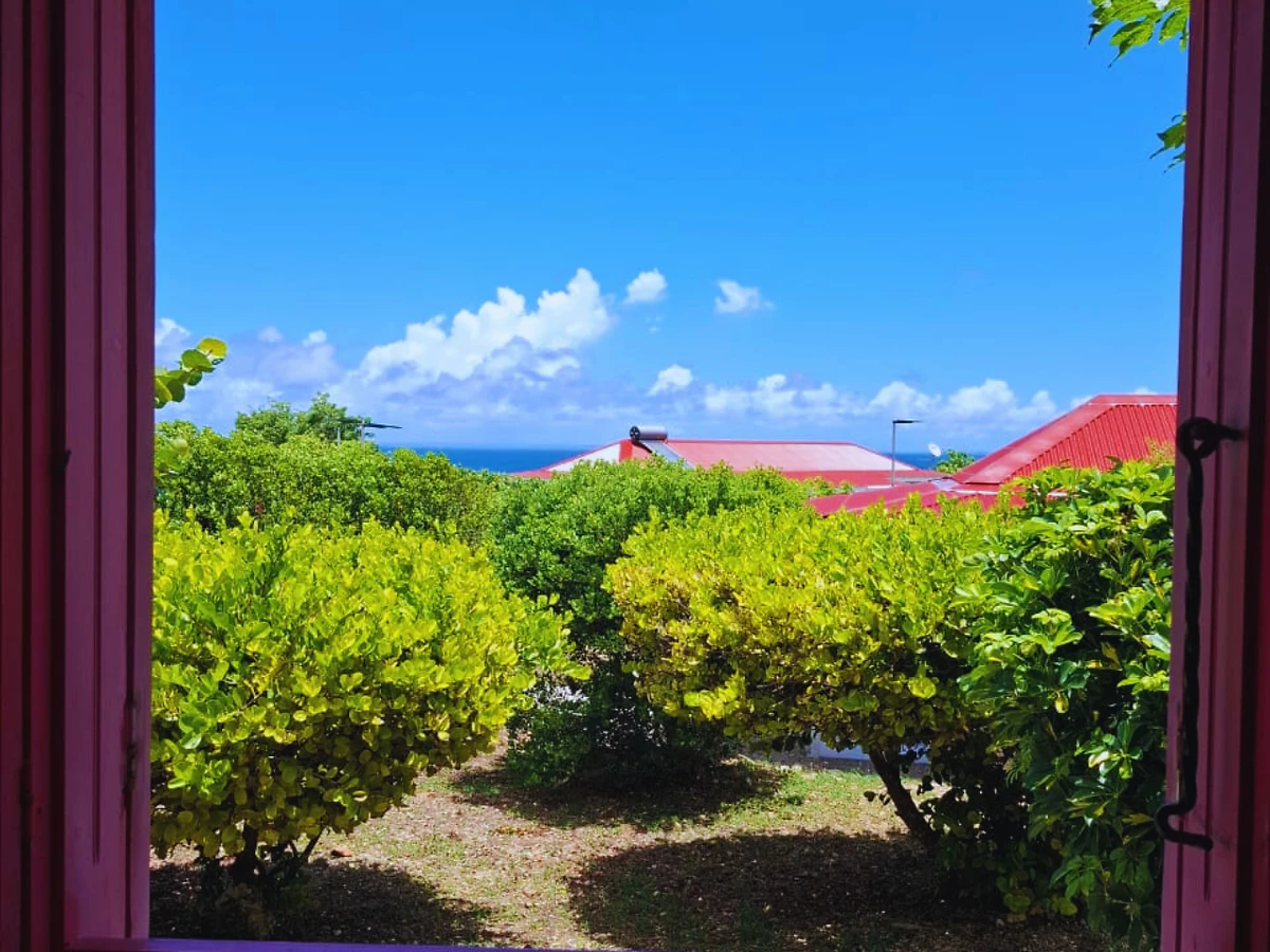 Image Villa Raisin Bord de Mer