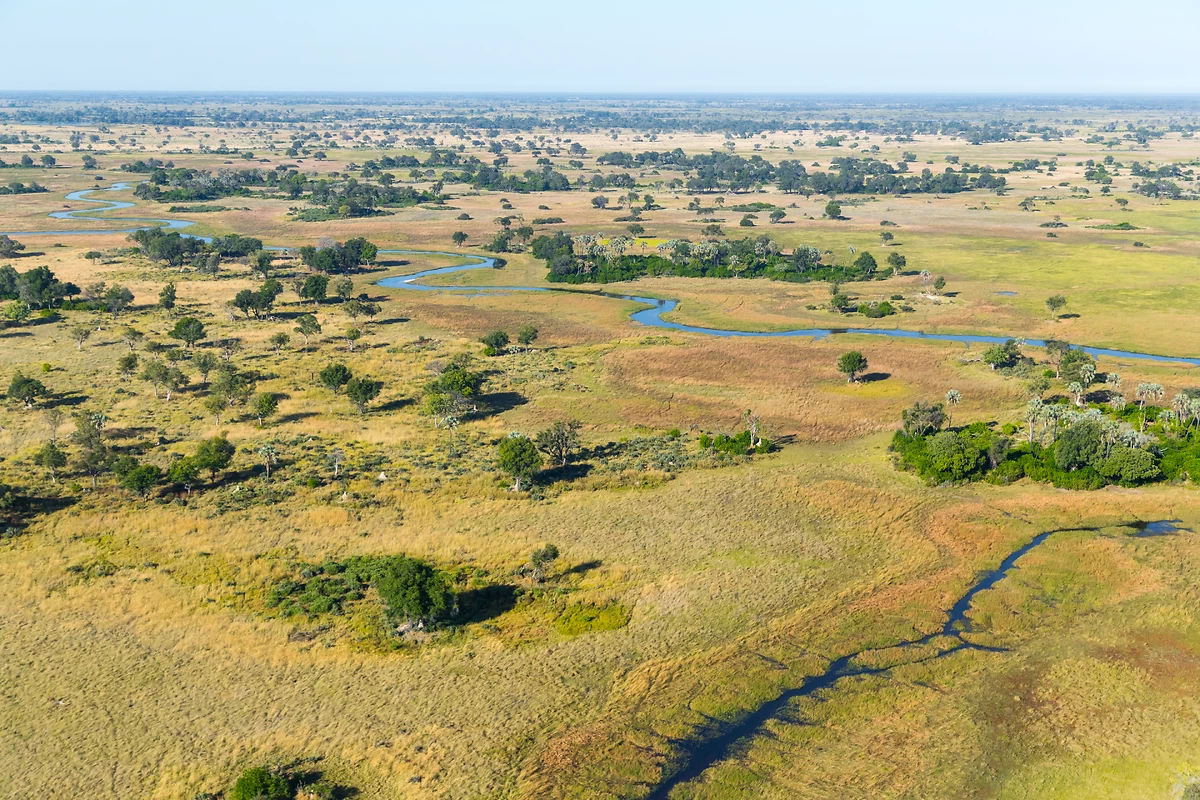 Vue aérienne du delta de l'Okavango, Botswana