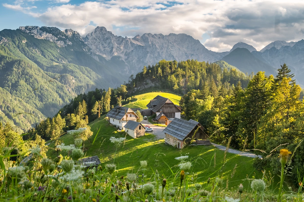 Vallée de Logar dans les Alpes de Kamnik, Slovénie
