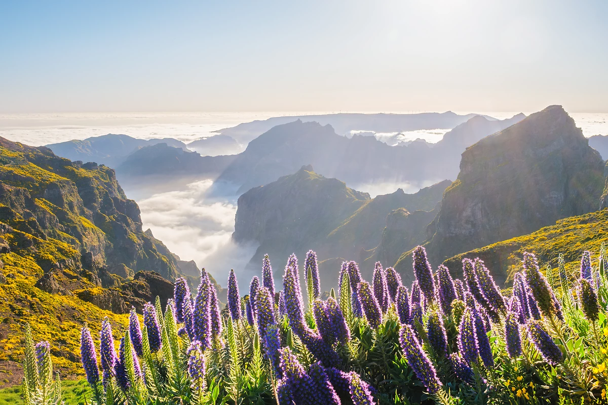 Pico do Ariero, Madère, Portugal