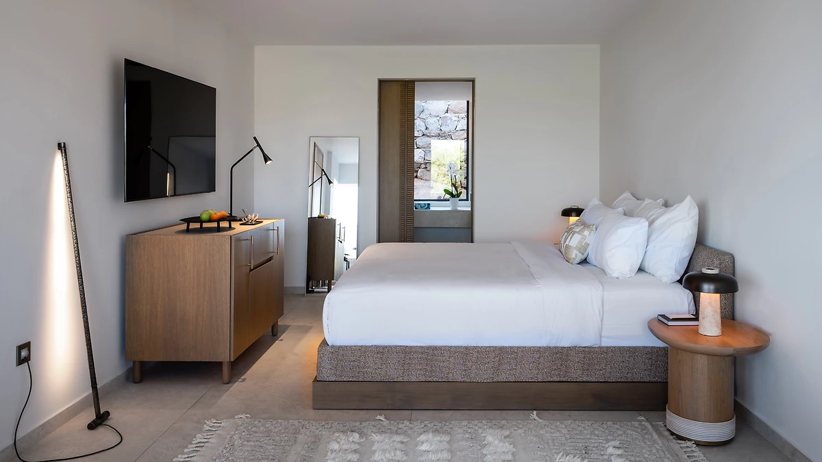 Image Suite Infinity