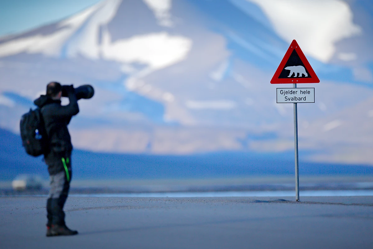 Homme photographiant un panneau routier avec ours polaire, Spitzberg, Norvège
