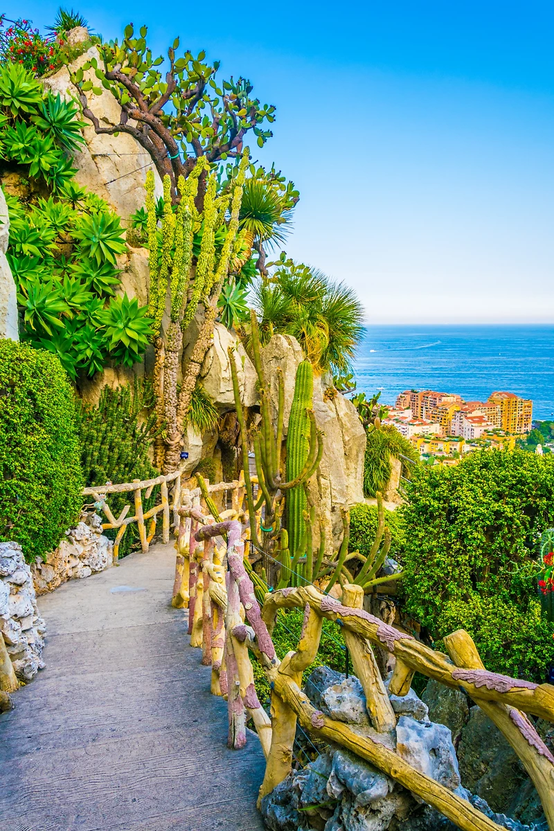 Jardin Exotique de Monaco