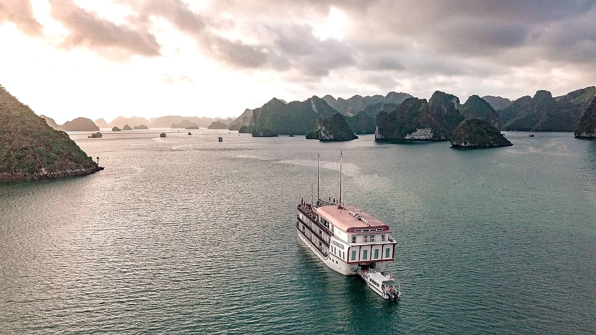 Visuel Hotel - Jonque Ginger