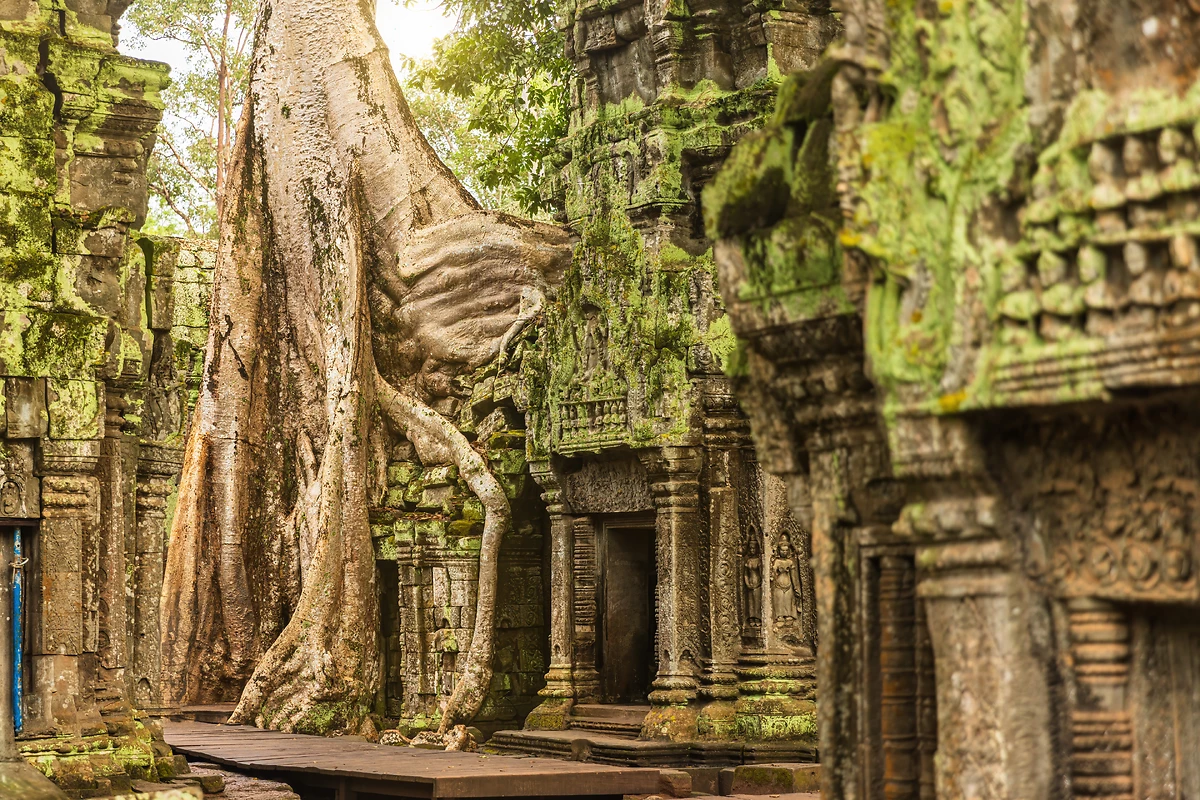  Temple Ta Prohm, Siem Reap, Cambodge