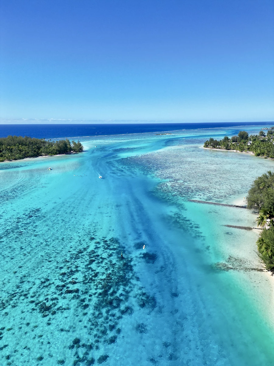 Polynesie Moorea