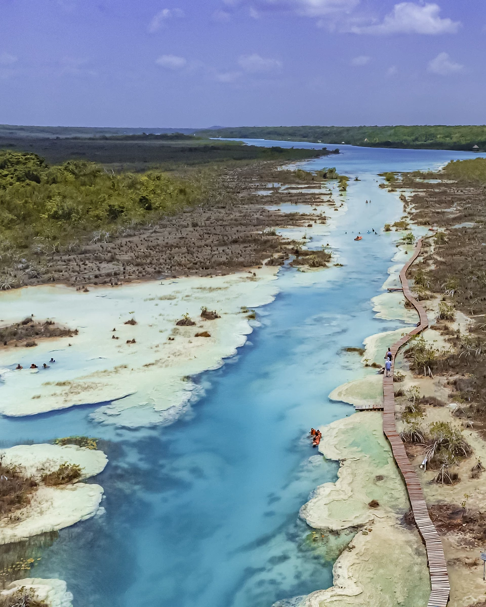 Temple de Calakmul émergeant d'une jungle dense, Mexique