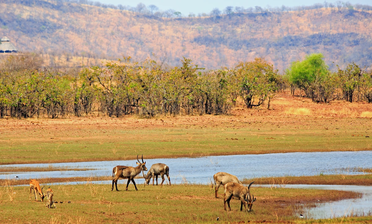 Parc national de Matusadona, Zimbabwe