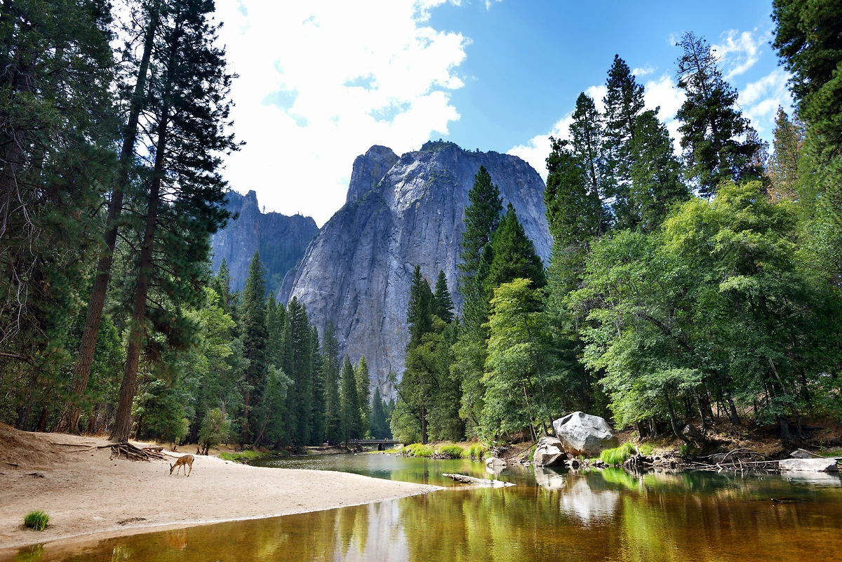 Parc national de Yosemite