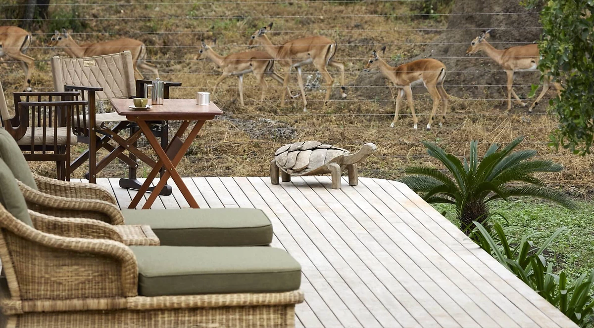 Visuel Hotel - Laba Mama Simba