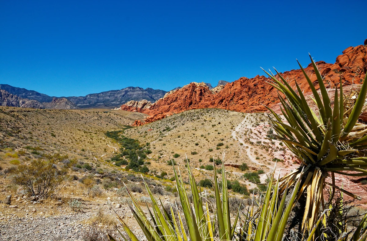 Paysage du Red Rock Canyon dans le désert de Mojave, Colorado