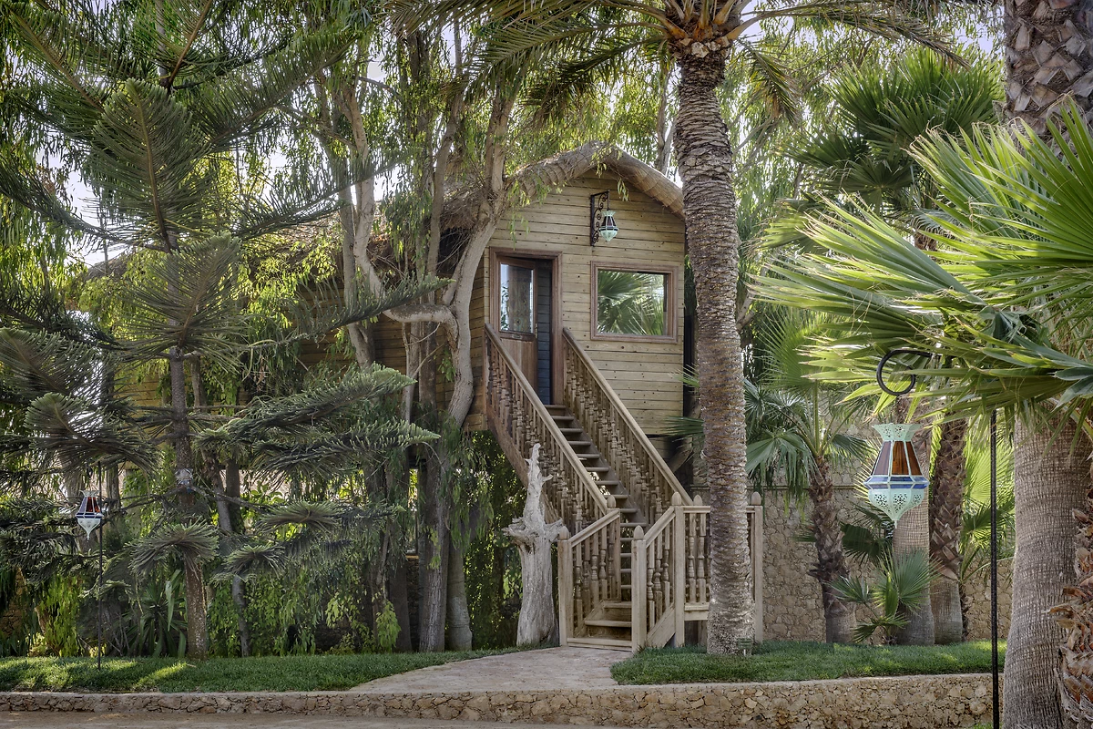 Image Suite cabane