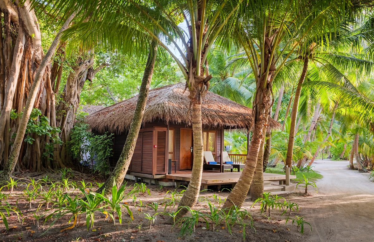 Niva Kuramathi Maldives - 4* - 9